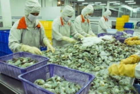 Vietnam asks WTO to rule on shrimp dispute with U.S.