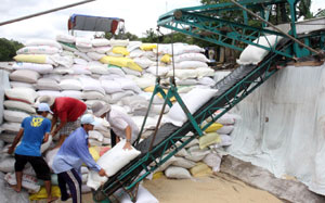 Producers tip fragrant rice exports this year to hit 700,000 tonnes
