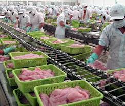 Seafood processor kicks off M&A season