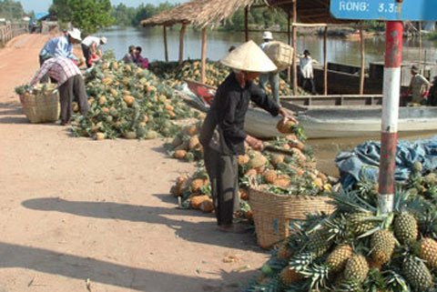 Vietnamese farmers getting vigilant over Chinese businessmen