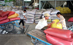 Rice exports decrease in first half