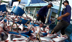 Seafood exporters must renew registrations to the US
