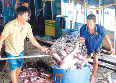 Breeders in Mekong Delta face troubled times