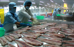 Tra fish exports go swimmingly