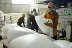 Rice exports reach new levels
