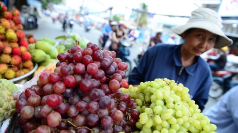 Vietnam tightens checks on more Chinese fruit