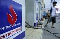 Petrovietnam must pull out of finance, stick to oil -govt