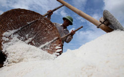 Salt import quotas tipped to rise