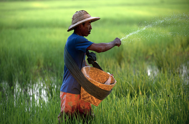 Rice from Myanmar is about $10-$20 per ton cheaper than the comparable quality from Vietnam, India and Pakistan, said Jac Luyendijk, chief executive officer at SAT Swiss Agri Trading AG, which handles about $300 million worth of rice a year.