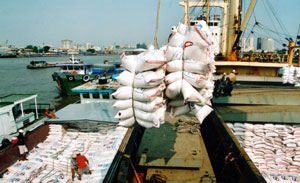 Rice export volumes up, revenues down