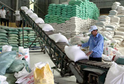 Viet Nam exports rice to Indonesia
