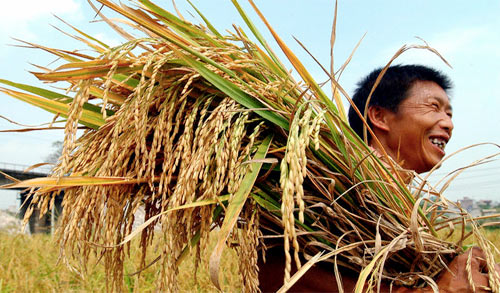 Vietnam stays outside South East Asian rice alliance