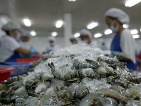 Shrimp exports fall as stocks decline