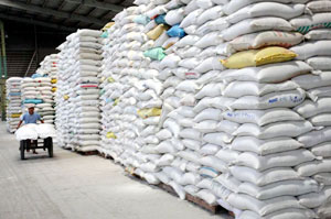 Rice exports poised to set new record this year