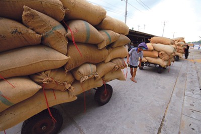 Officials worry over tiny rise in rice exports