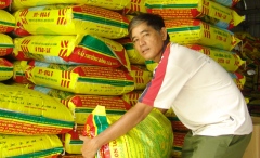 Rice farmers unhappy despite global top position
