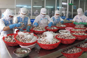 Chinese shrimp ban has little effect on VN