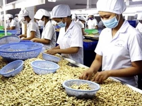 Vietnam’s 2012 economy to grow by 5.2 percent: Forum