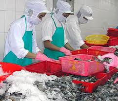 Shrimp export value to rise 6.5% in fourth quarter