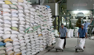 Viet Nam anticipates record-high rice exports