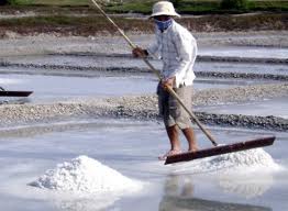 Cambodia's salt output may decrease