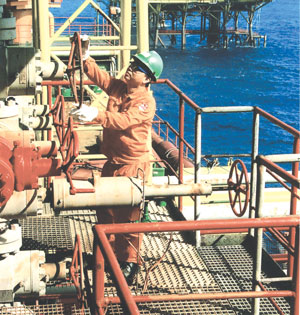PetroVietnam achieves goals, despite economy
