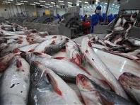 Russia signs tra fish deal