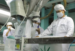 Viet Nam grows enough sugar for domestic needs
