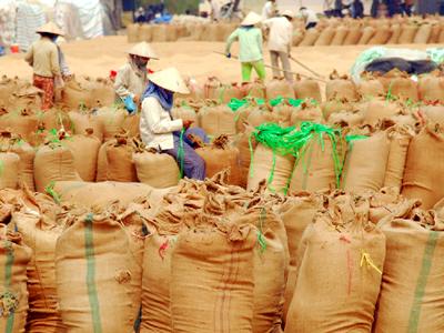 Farmers say rice stocking plan ineffective