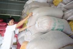 Authorities become rice seller for farmers