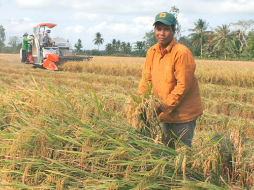 Vietnam leading the world in rice exports, what for?