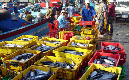 Binh Dinh targets fisheries growth