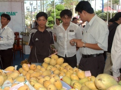 More VN fruit can enter Japanese market: expert