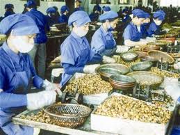 Cashew exports to fall on less output