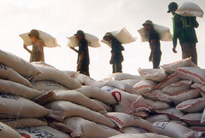 Rice export right market gets bustling