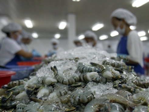 Shrimp industry beset by problems