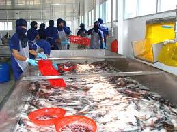 Exporters oppose US anti-dumping taxes on tra fish