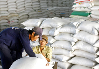 Gov’t to begin stockpiling of summer-autumn rice