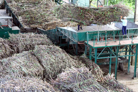 Sugar producers face hard times