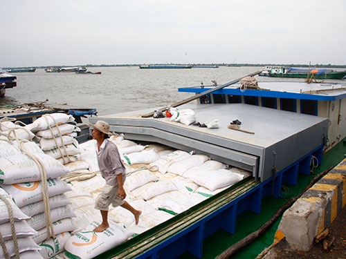 FDI drips into Mekong Delta