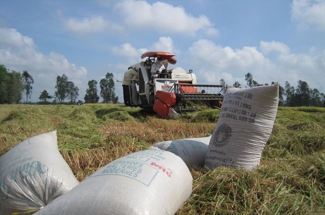 Rice exporters worried about the new rules