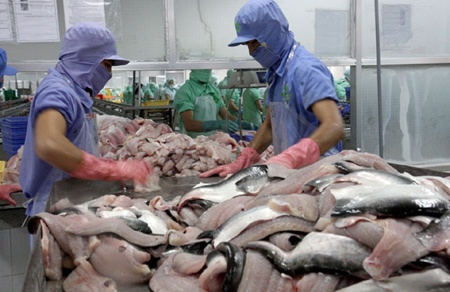 Tra fish production up, but prices fall
