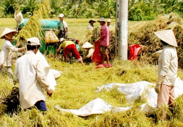 Importers may set GMO barrier against VN's exports, experts worry