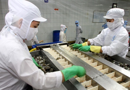 Shrimp exports up 38 per cent as tide begins to turn