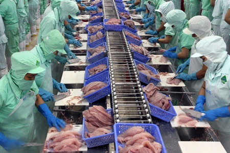 Tra fish shortage grinds production to a halt