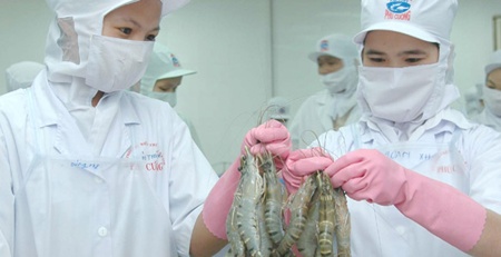 Viet Nam hopes shrimp exports exceed annual target