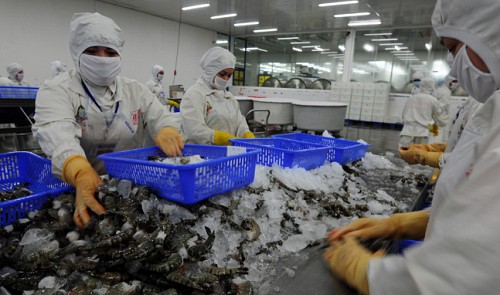 US says Vietnam shrimp imports do not hurt its industry