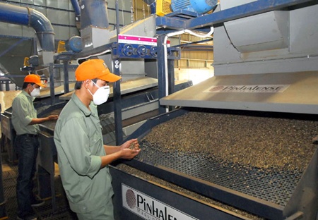 Coffee makers seek to scrap VAT
