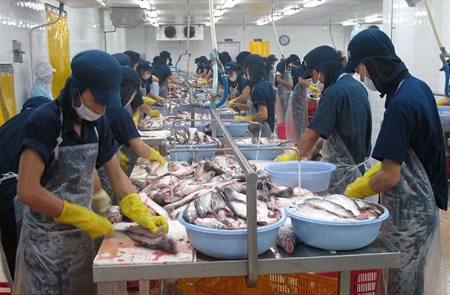 Tra fish farming area needs trimming