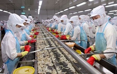 Shrimp hoarding hurts firms